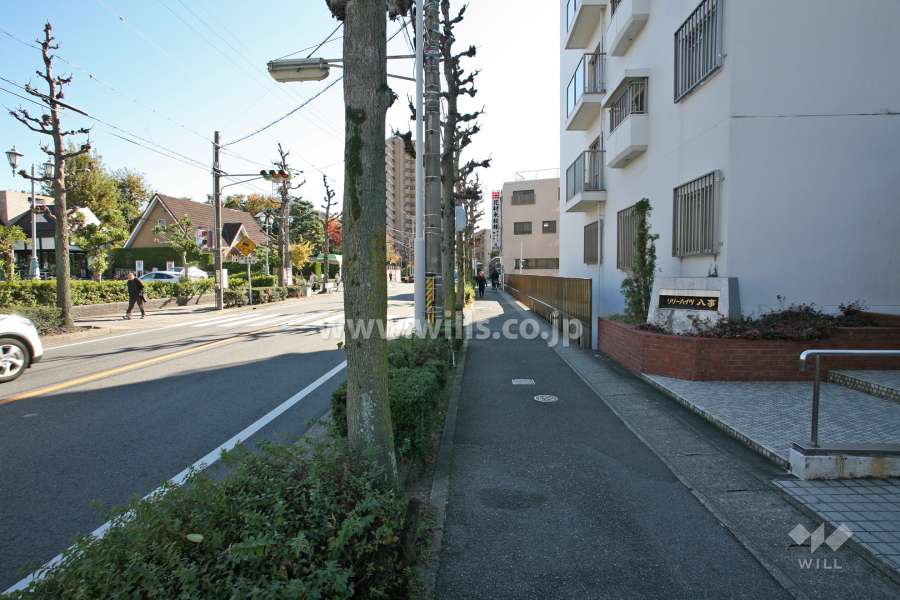 敷地の前面道路