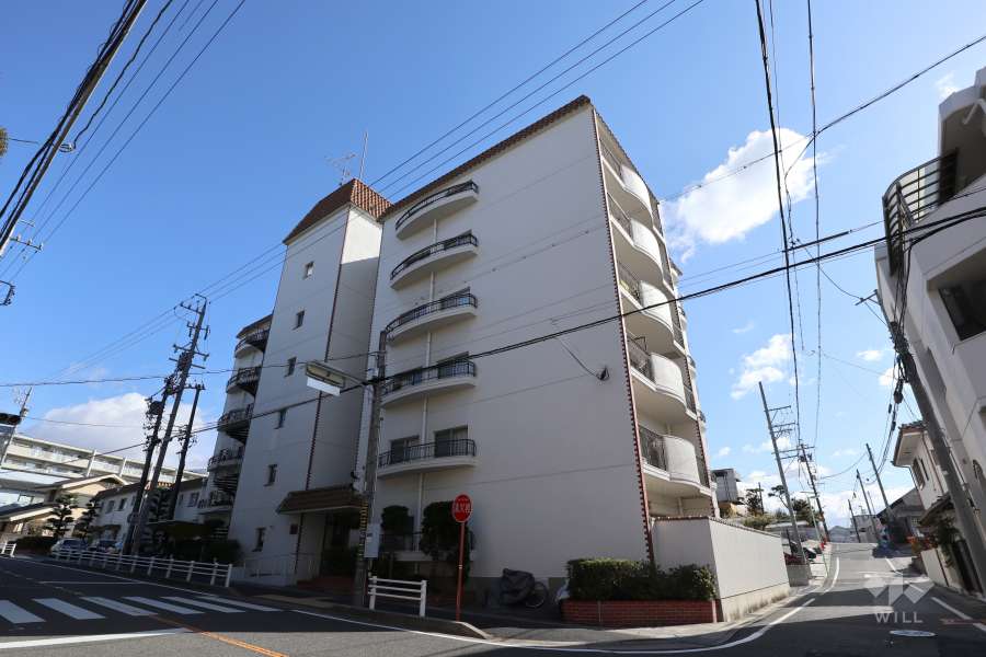 弥生ケ岡マンションの外観（北西側から）