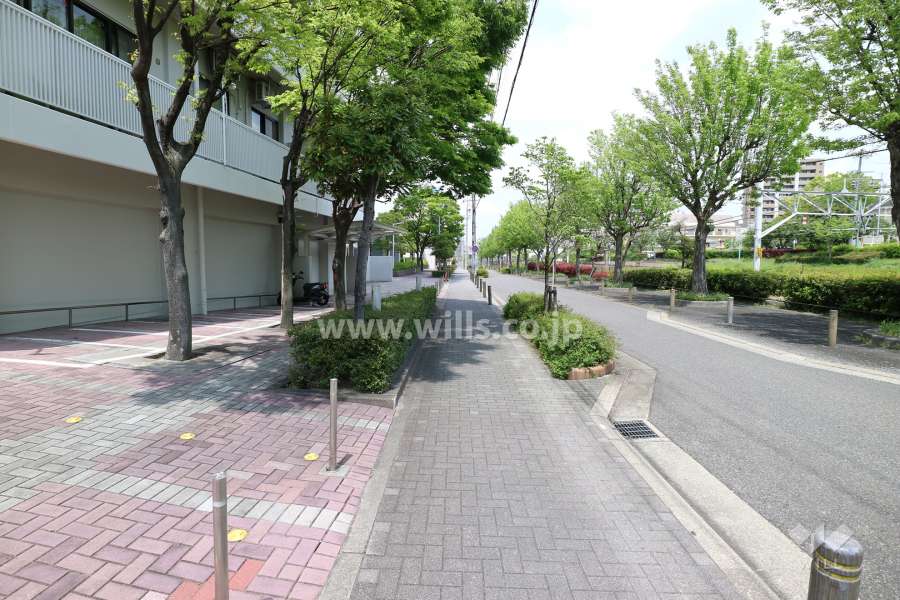 敷地の東側前面道路（南側から）