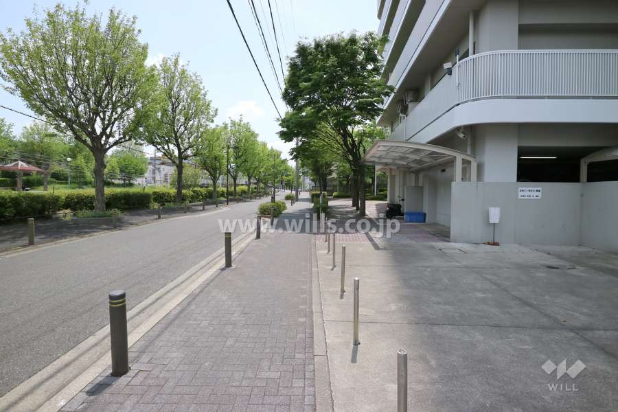 敷地の東側前面道路（北側から）