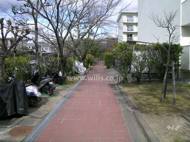 敷地西側にある駐輪場