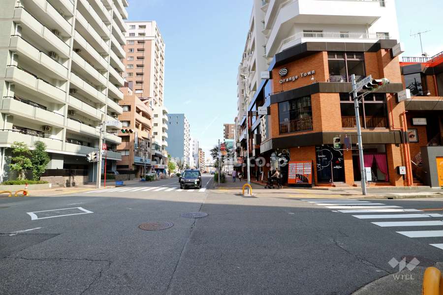 敷地北側の前面道路（西側から）