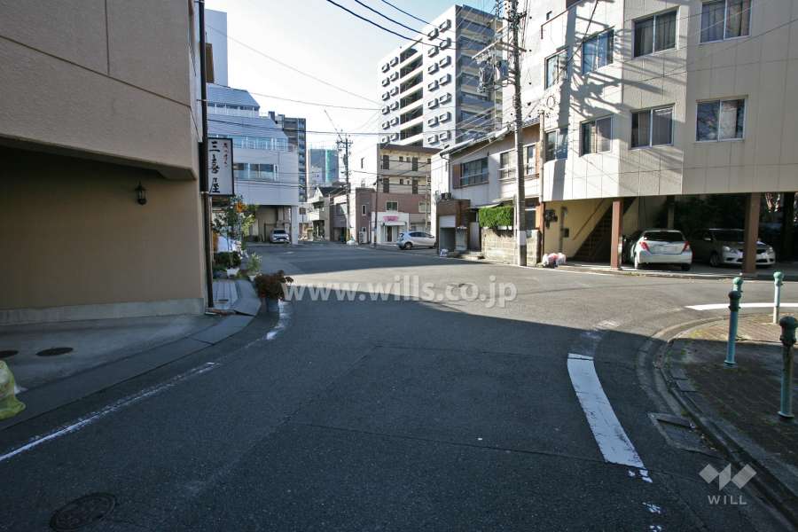敷地北東側の前面道路(北側から)