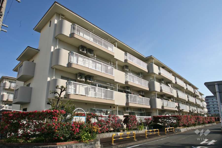 シティコーポ前浪1号棟の外観（南西側から）