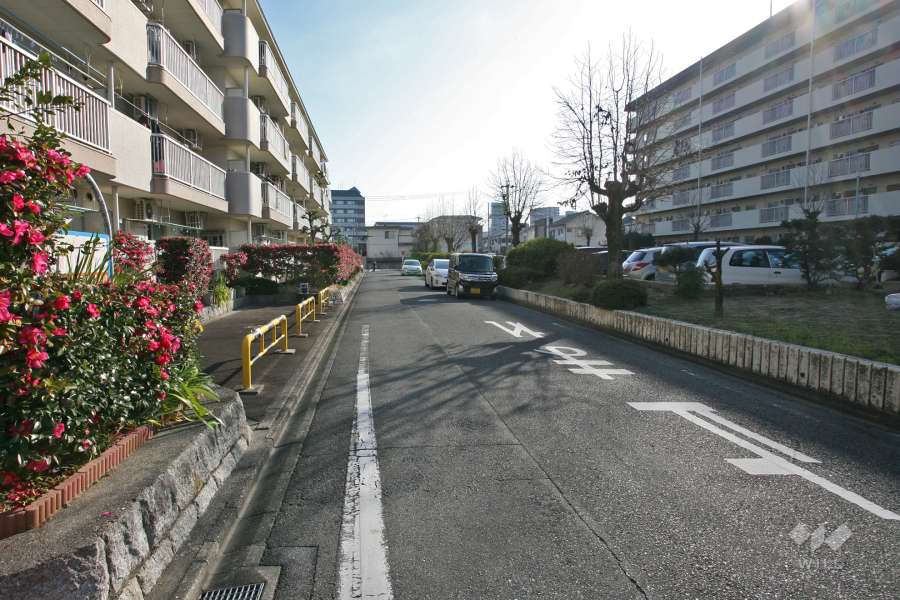 敷地南側の前面道路（東側から）