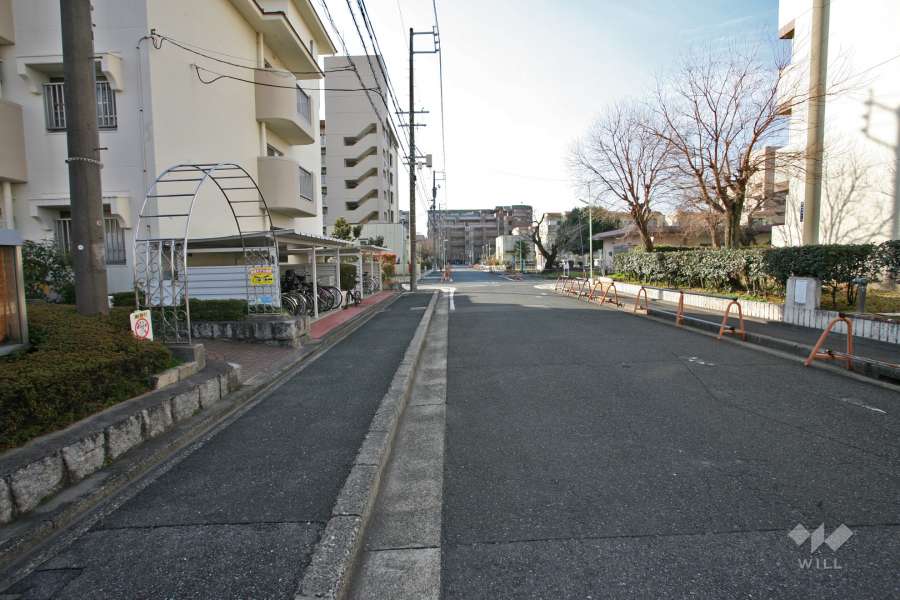 敷地西側の前面道路（北側から）