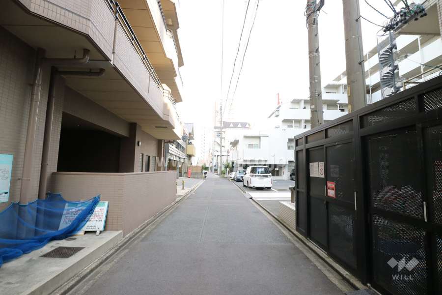 敷地北側の前面道路（西側から）
