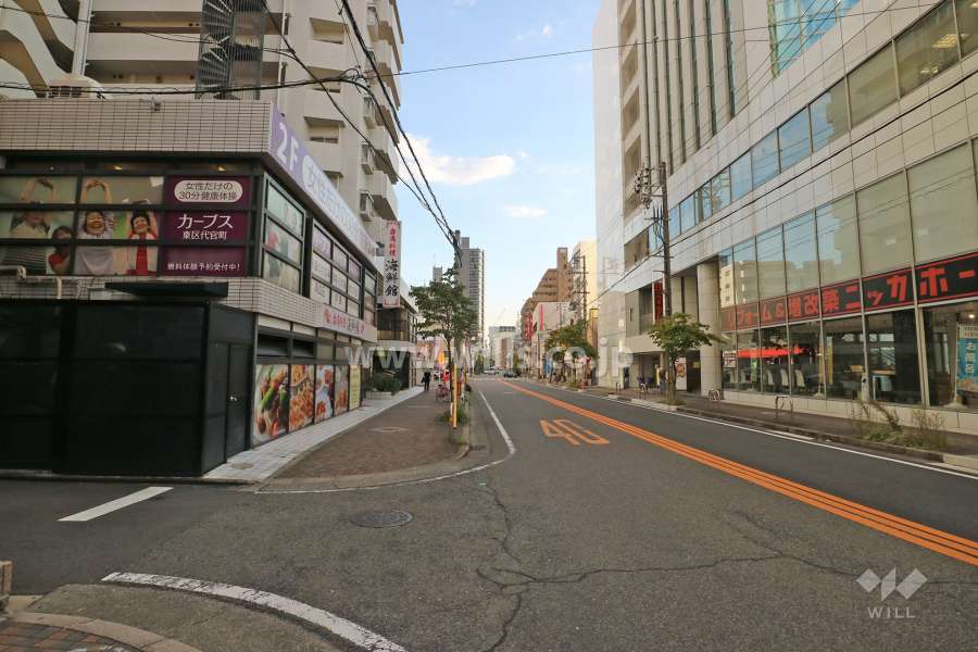 敷地西側の前面道路（北側から）