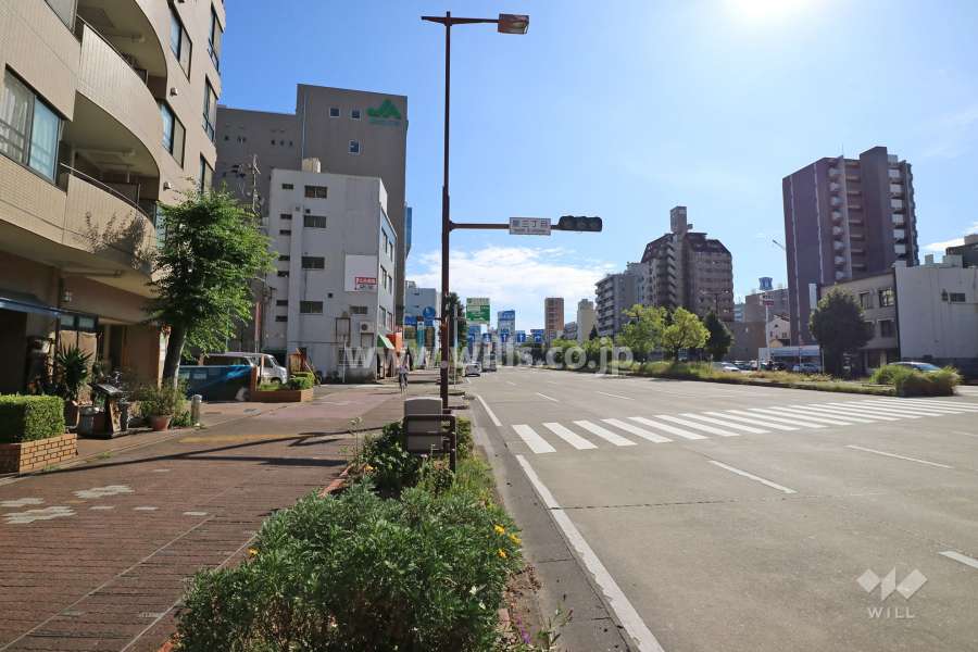 敷地西側の前面道路（北側から）