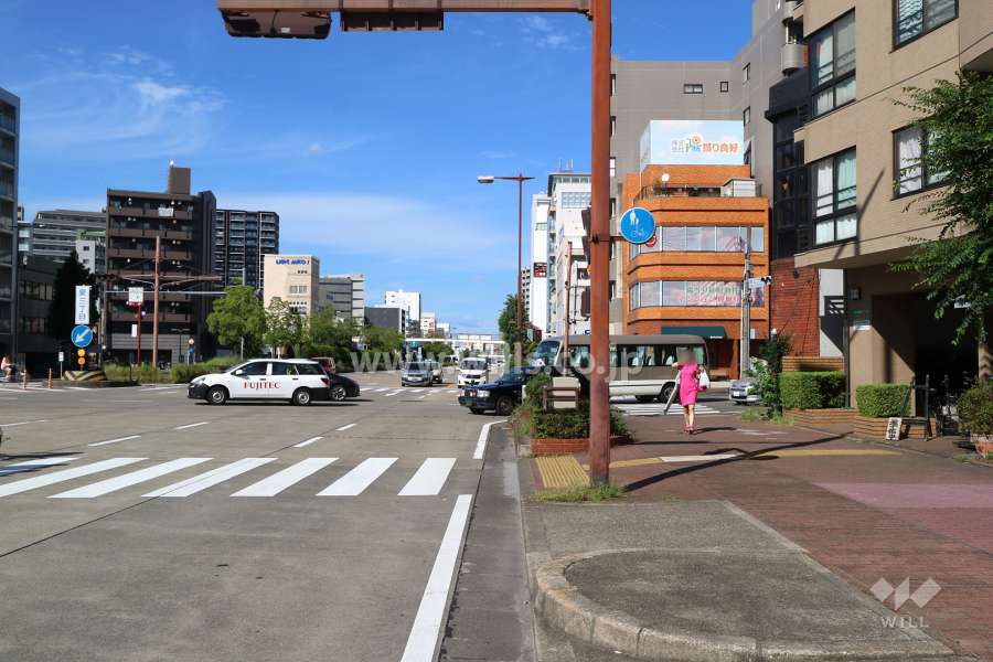敷地西側の前面道路（南側から）