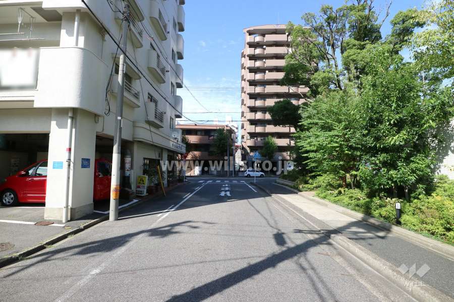 敷地東側の前面道路（南側から）
