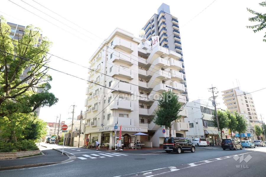 常盤ハウスの外観（北東側から）