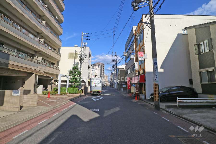 敷地南側の前面道路（西側から）