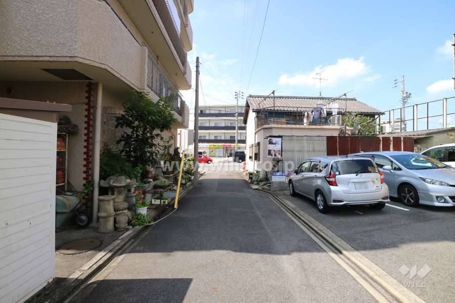 敷地の西側前面道路（北側から）