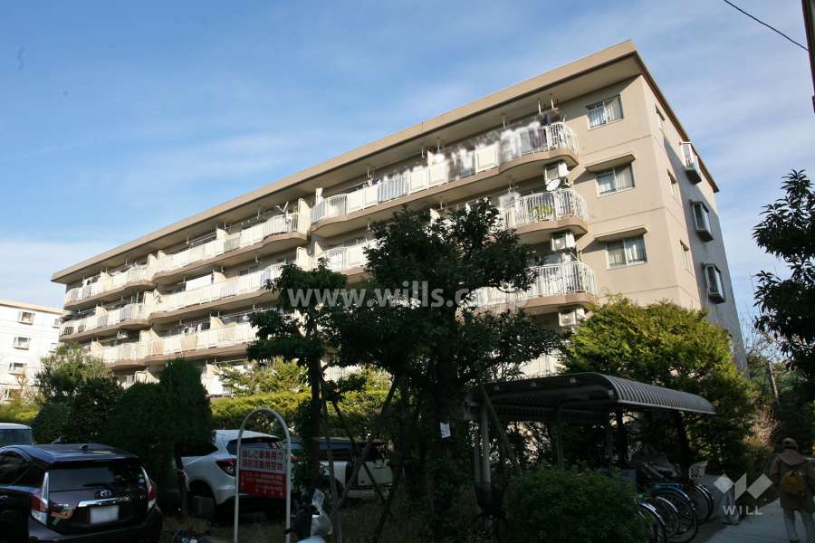 サンハイツ鍋屋上野5号の外観(南東側から)