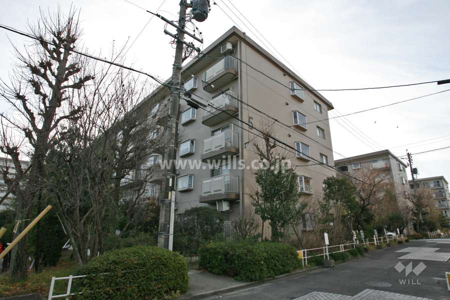 サンハイツ鍋屋上野5号棟の外観(北西側から)