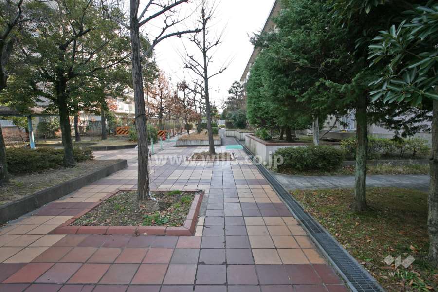 敷地北側の通路