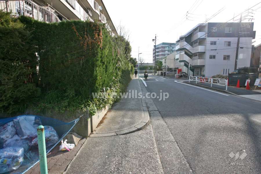 敷地南側の前面道路(西側から)