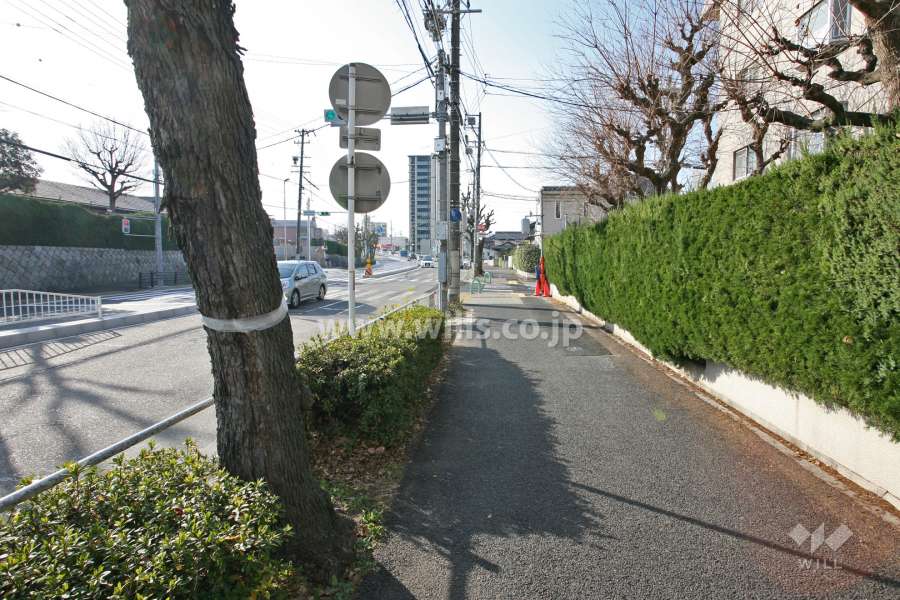 敷地東側の前面道路(北側から)