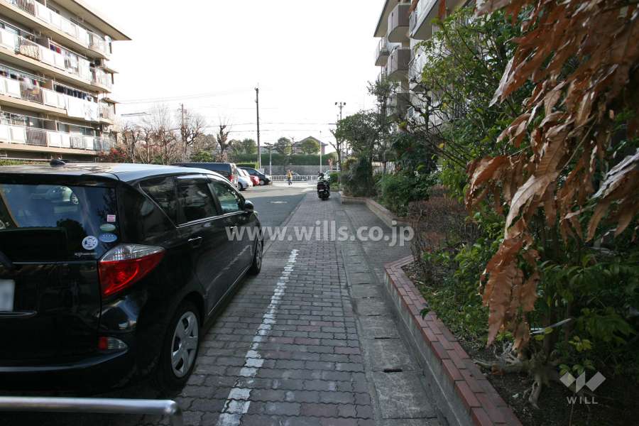 敷地北側の通路