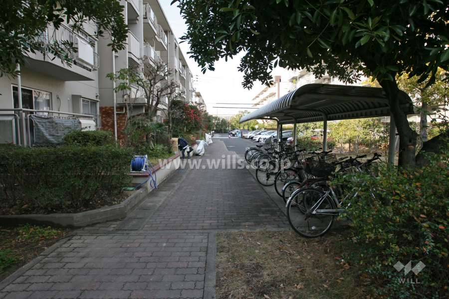 敷地北側の通路