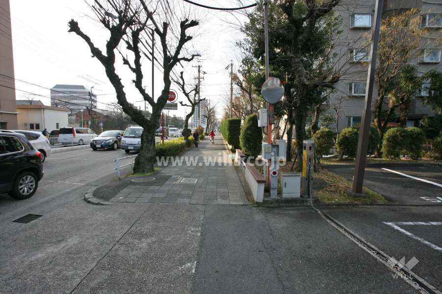 敷地東側の前面道路(北側から)