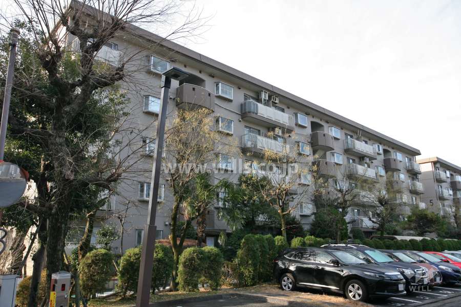 サンハイツ鍋屋上野4号棟の外観(北東側から)