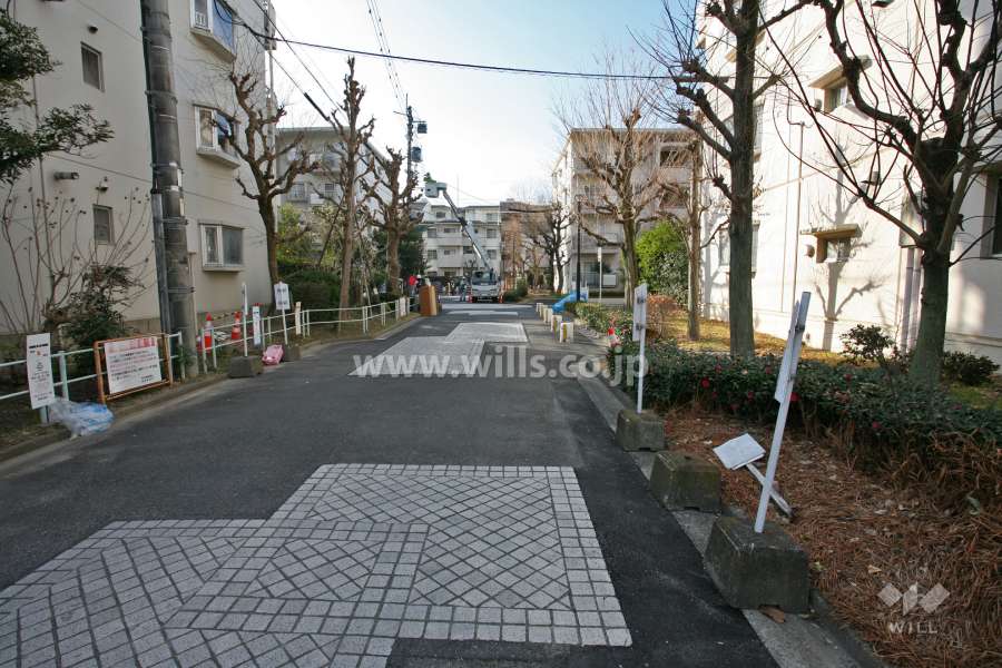 敷地西側の通路