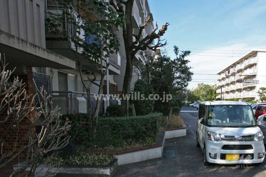 敷地北側の通路