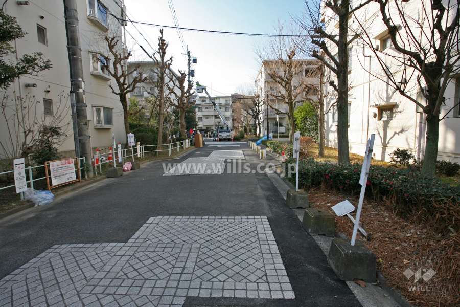 敷地西側の通路