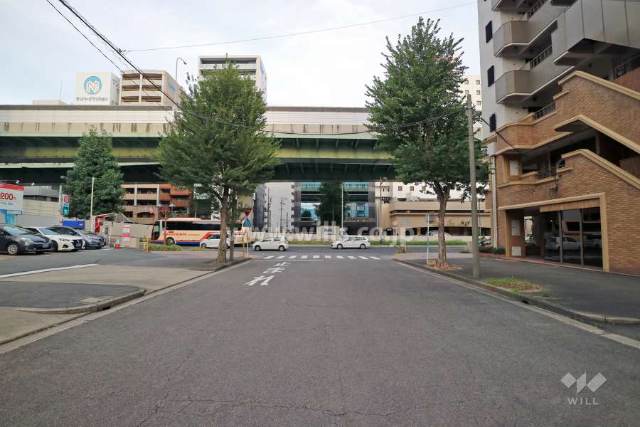 敷地北側の前面道路（西側から）