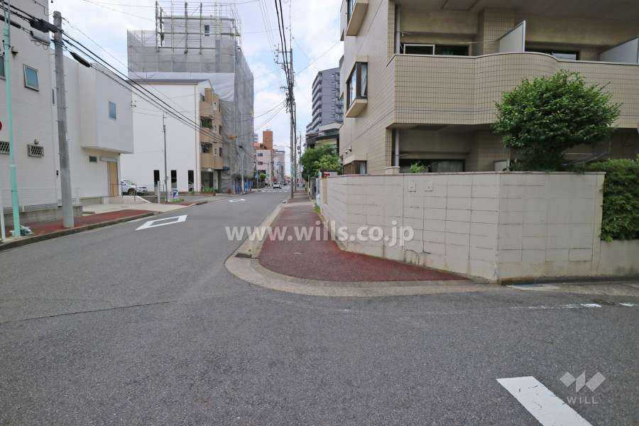 敷地南側の前面道路（東側から）