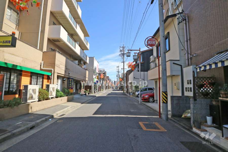 敷地南側の前面道路（西側から）