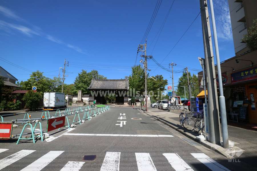 敷地西側の前面道路（南側から）　すぐ北側に『建中寺公園』があります。