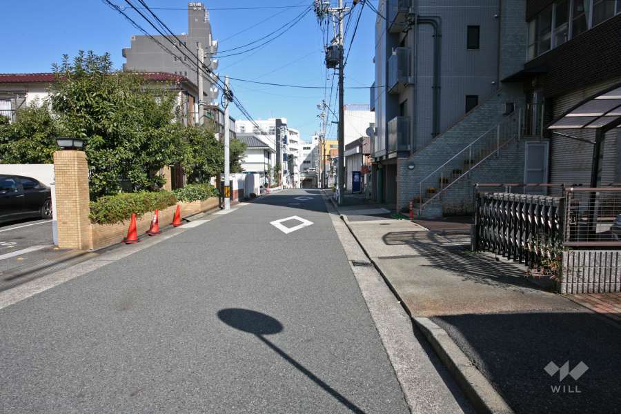 敷地南東側の前面道路（南西側から）
