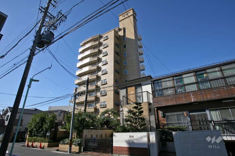 レインボー徳川の外観（北東側から）