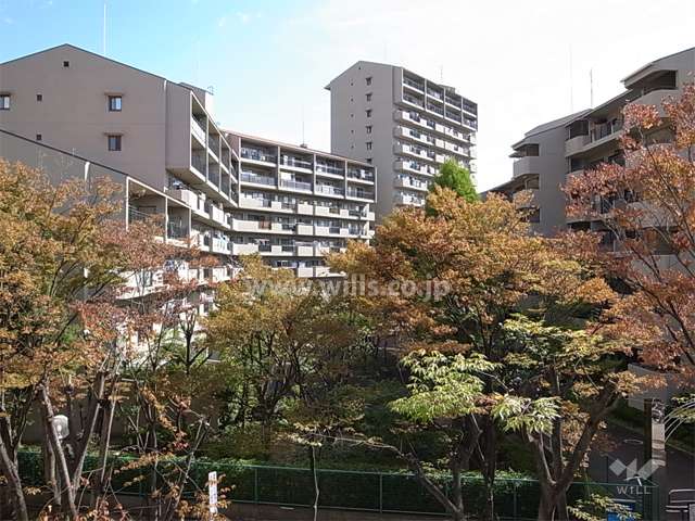 敷地内は植栽スペースが多く設けられ、たいへん緑豊かです。（左側がC棟）