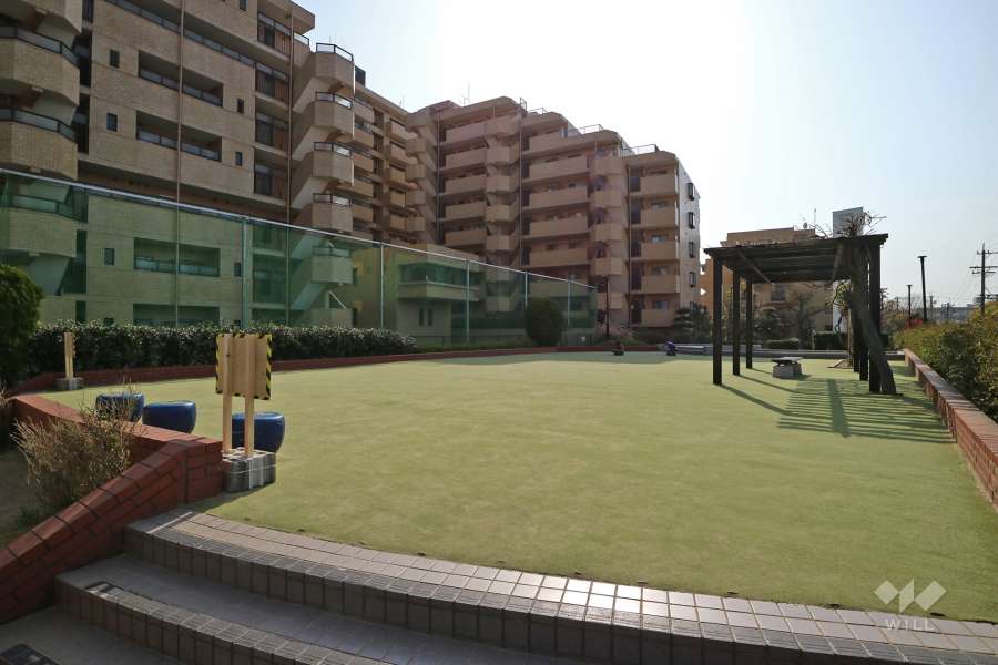 敷地内にある広場