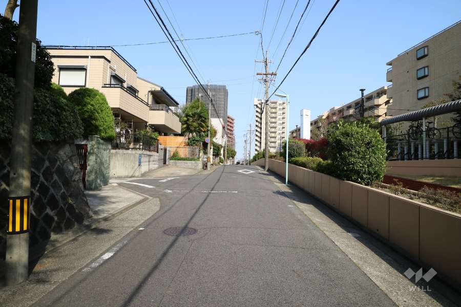 敷地北側の前面道路（西側から）