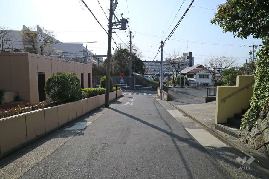 敷地北側の前面道路（東側から）