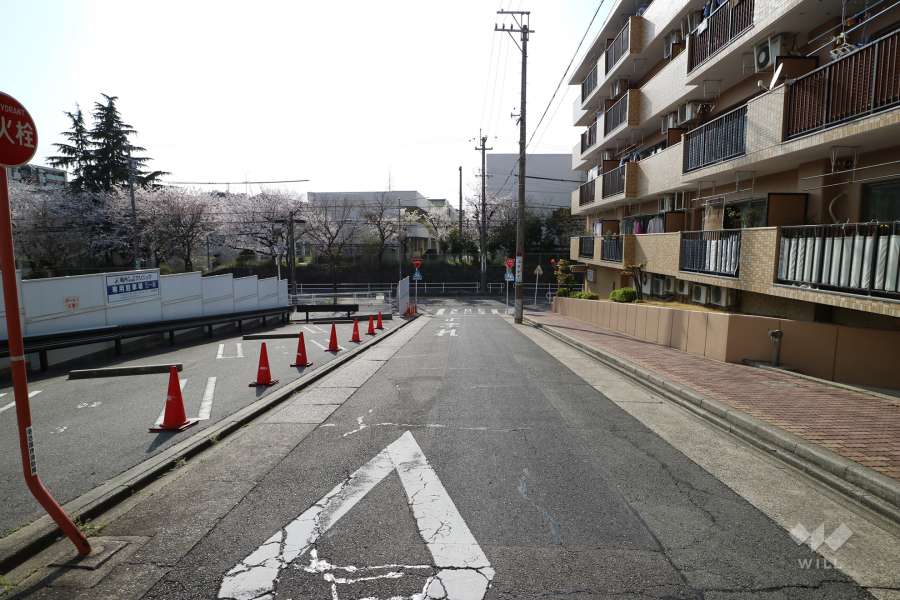 敷地南側の前面道路（東側から）