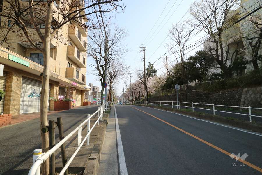 敷地西側の前面道路（北側から）