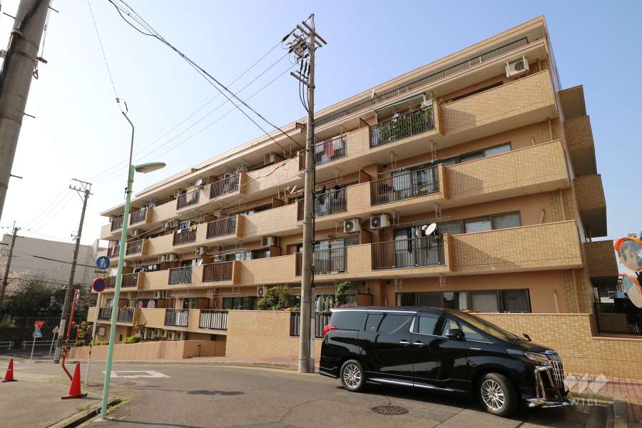 ダイアパレス東白壁D棟の外観（南東側から）