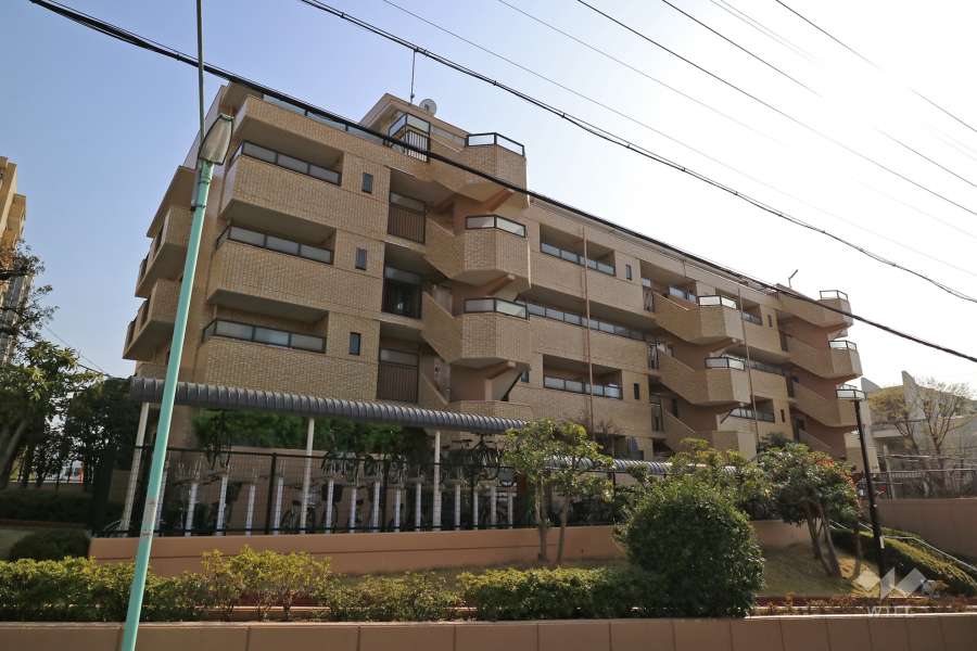 ダイアパレス東白壁D棟の外観（北東側から）