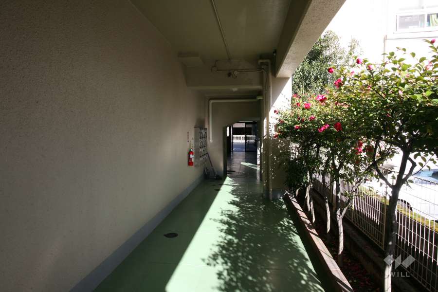 通路