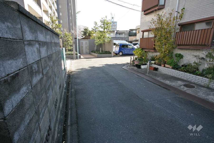 敷地南側の前面道路（西側から）