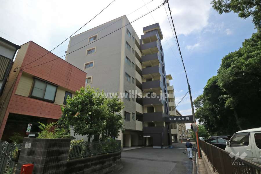 コーポ木ヶ崎の外観（西側から）