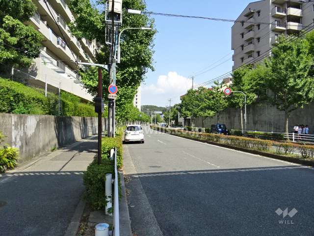 敷地南側の前面道路(西側から)