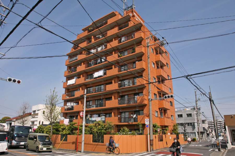 ライオンズマンション菊住の外観(南東側から)