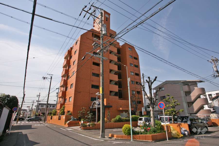 ライオンズマンション菊住の外観(北東側から)